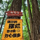 北京旅游 缩略图 9