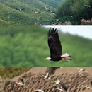 无锡旅游 缩略图 12