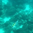 普吉岛旅游 缩略图 2