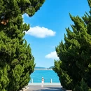 青岛旅游 缩略图 5