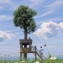 丽水旅游 缩略图 6