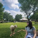 呼和浩特旅游 缩略图 5