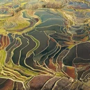 红河旅游 缩略图 4