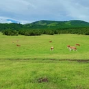 赤峰旅游 缩略图 2