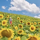 丽水旅游 缩略图 1