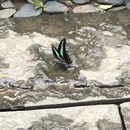 九江旅游 缩略图 3
