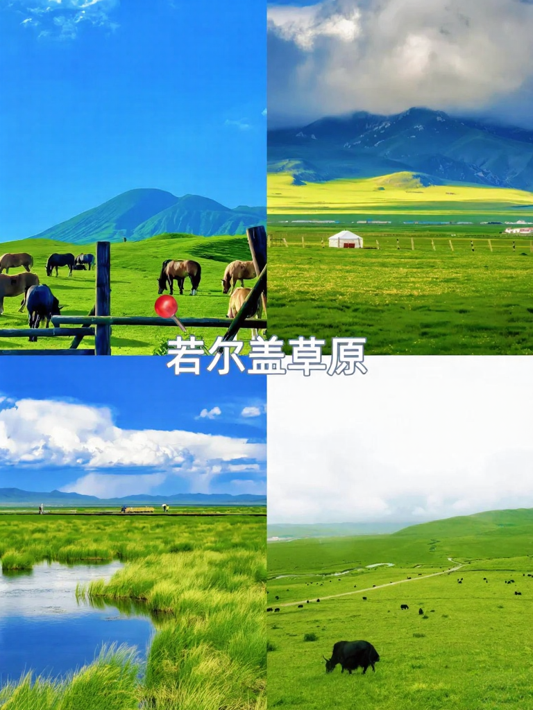 阿坝旅游