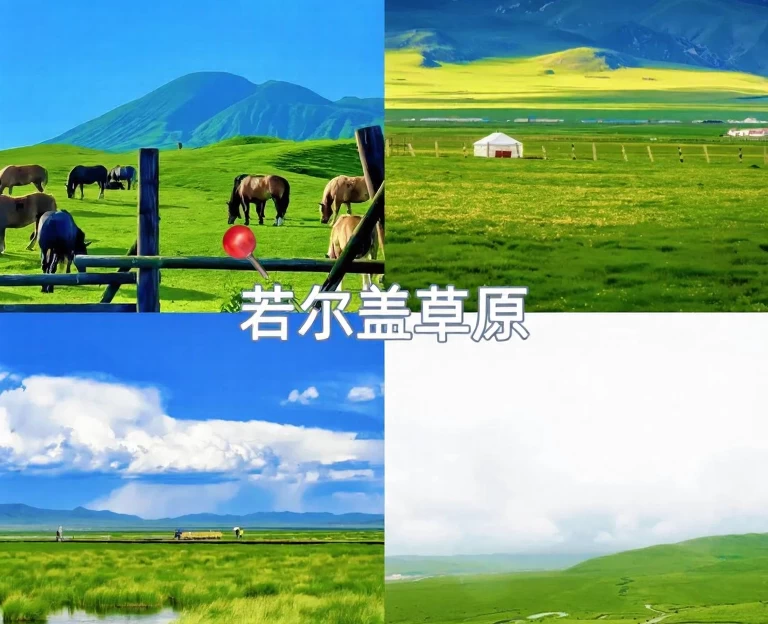 阿坝旅游 1