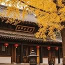 西安旅游 缩略图 2