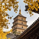 西安旅游 缩略图 8