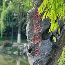 杭州旅游 缩略图 14