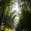湖州旅游 缩略图 7