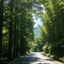 湖州旅游 缩略图 3