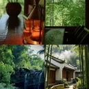 宜宾旅游 缩略图 9