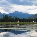 阿勒泰地区旅游 缩略图 7