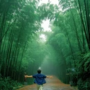 宜宾旅游 缩略图 2