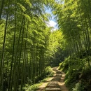 湖州旅游 缩略图 2
