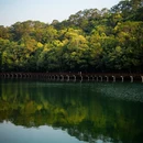 普洱旅游 缩略图 5