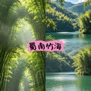 宜宾旅游 缩略图 1