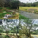 深圳旅游 缩略图 3