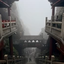 洛阳旅游 缩略图 13