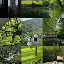 杭州旅游 缩略图 1