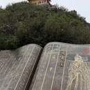 洛阳旅游 缩略图 12