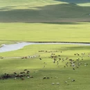 呼伦贝尔旅游 缩略图 2