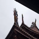 厦门旅游 缩略图 12
