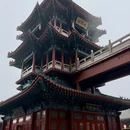 洛阳旅游 缩略图 14