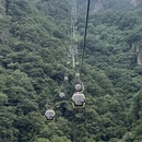 洛阳旅游 缩略图 17