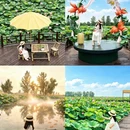 泰州旅游 缩略图 9