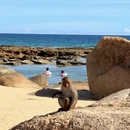 陵水黎族自治县旅游 缩略图 9