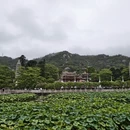 厦门旅游 缩略图 10