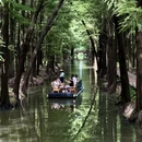 泰州旅游 缩略图 3