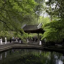 杭州旅游 缩略图 6