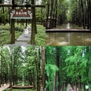 泰州旅游 缩略图 13