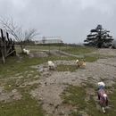 成都旅游 缩略图 10