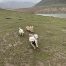成都旅游 缩略图 6