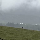 成都旅游 缩略图 11