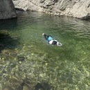 杭州旅游 缩略图 8