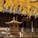 西安旅游 缩略图 3