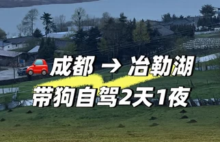 冶勒湖🌧️原来快乐不是天气给的，是小狗给的