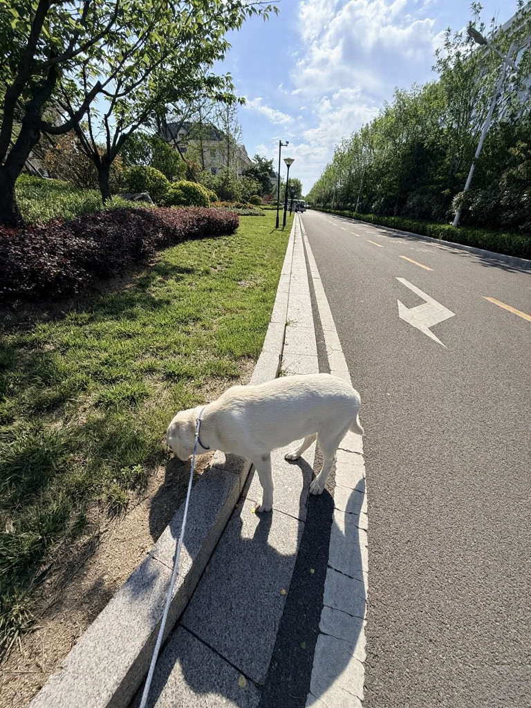 日照旅游