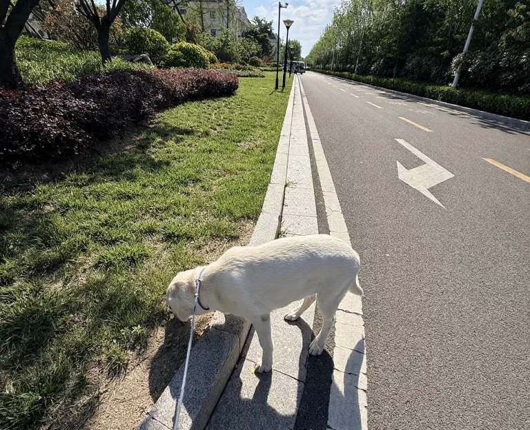 日照旅游 1
