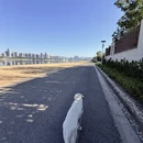日照旅游 缩略图 5