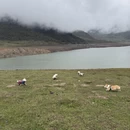 成都旅游 缩略图 7