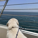 日照旅游 缩略图 14