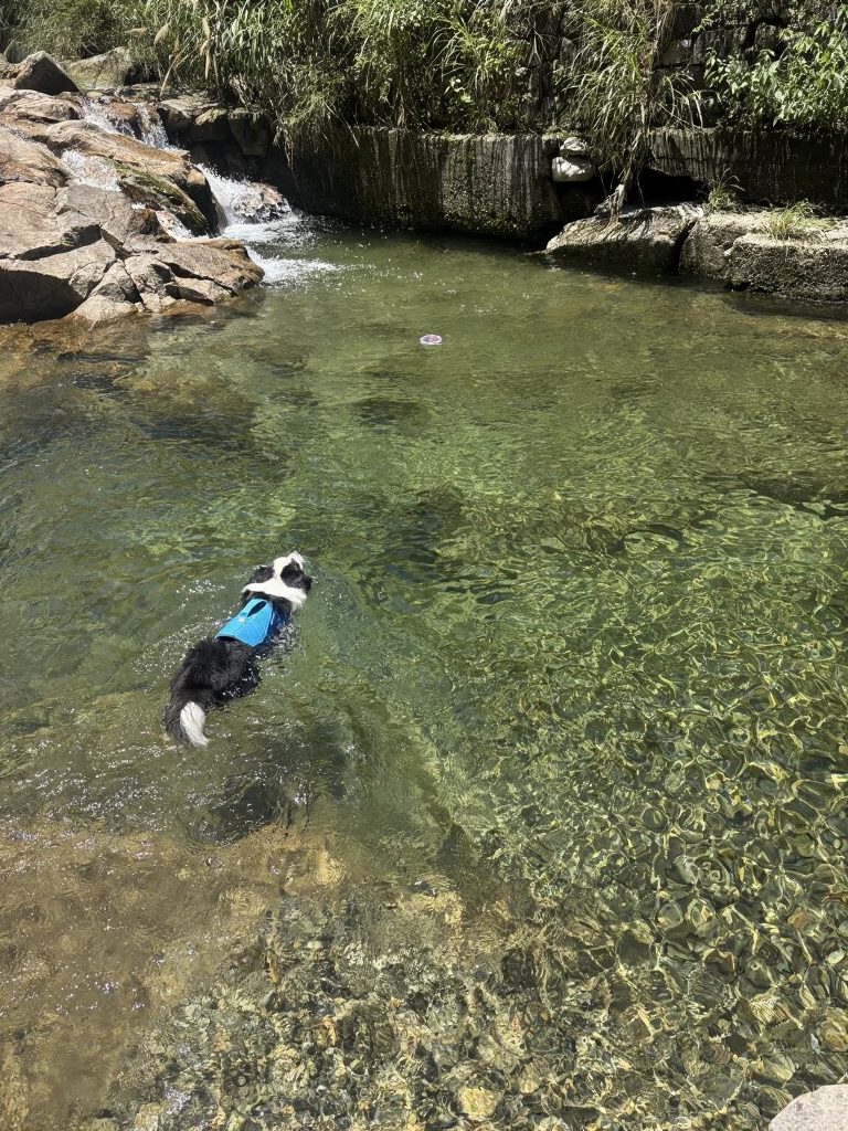 杭州旅游