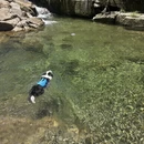 杭州旅游 缩略图 1